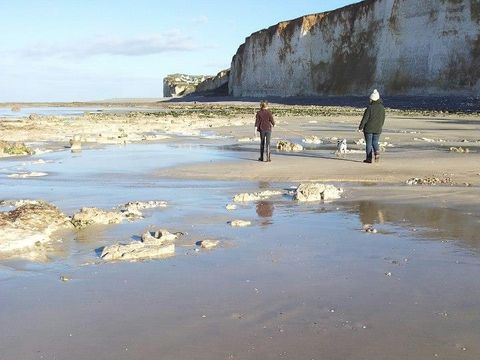 Camping Le Mont Joli Bois - Camping Seine-Maritime - Image N°38