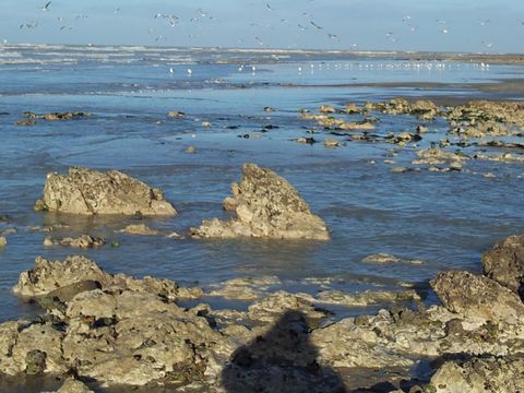 Camping Le Mont Joli Bois - Camping Seine-Maritime - Image N°42