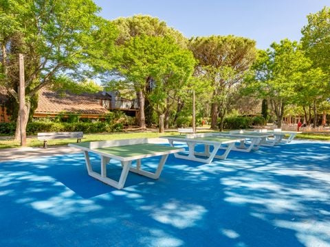 Camping Paradis Marina Paradise - Camping Var - Image N°20