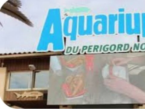 Camping de l'Ilot - Camping Dordogne - Image N°73