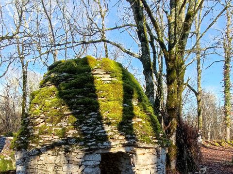 Camping de l'Ilot - Camping Dordogne - Image N°68
