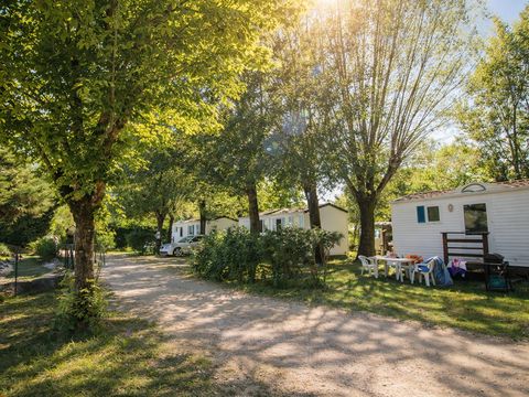 MOBILHOME 4 personnes - MH2 20 m² pas de terrasse (lits: 1 gd + 2 pts côte à côte)