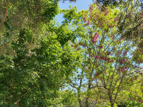 CHALET 5 personnes - ROMARIN basique +