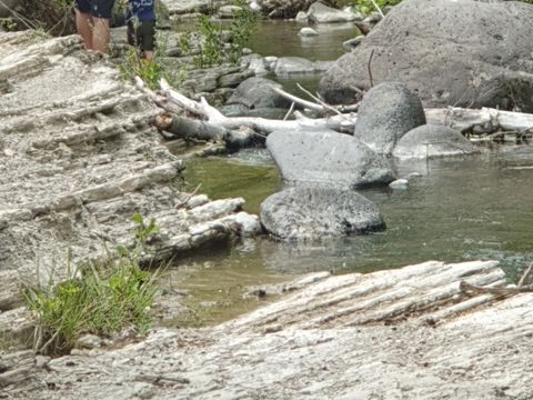 Camping Les Lavandes - Camping Ardèche - Image N°37