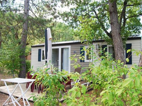 MOBILHOME 4 personnes - Mobil-home Standard Cocoon 28m² - 2 chambres + Terrasse avec parasol - 4 pers