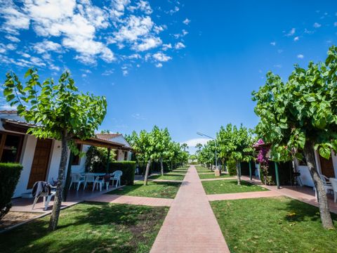 BUNGALOW 6 personnes - Bungalow 6 personnes