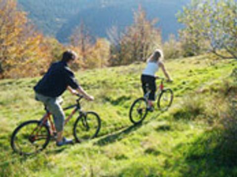 Yelloh! Village Camping Domaine des Bans - Camping Vosges - Image N°15