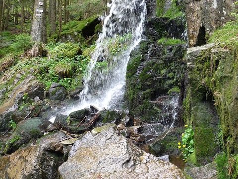 Yelloh! Village Camping Domaine des Bans - Camping Vosges - Image N°43