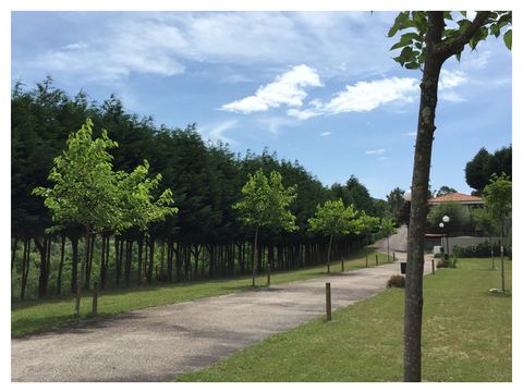 Camping Maceira - Camping Pontevedra - Image N°5