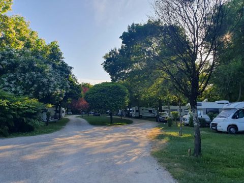 Camping Du Pasquier - Camping Jura - Image N°5