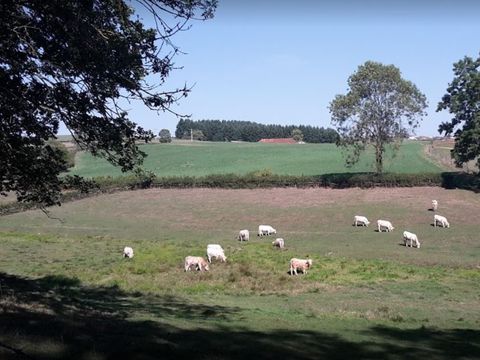 Domaine des Monts du Maconnais  - Camping Saône-et-Loire - Image N°11