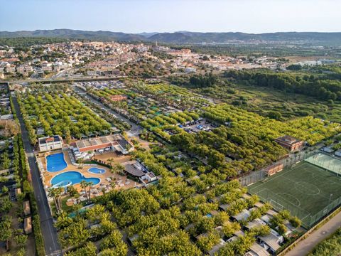 Camping Creixell Beach Resort - Camping Tarragone - Image N°28