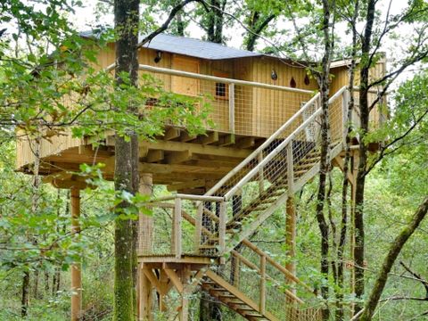 Hébergement 4 personnes - Maison dans les branches