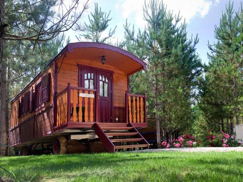 Camping DefiPlanet' - Camping Vienne - Image N°15