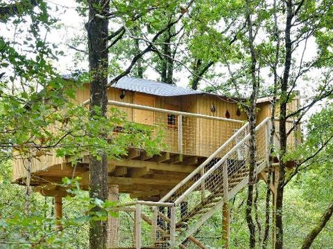 Camping DefiPlanet' - Camping Vienne - Image N°11