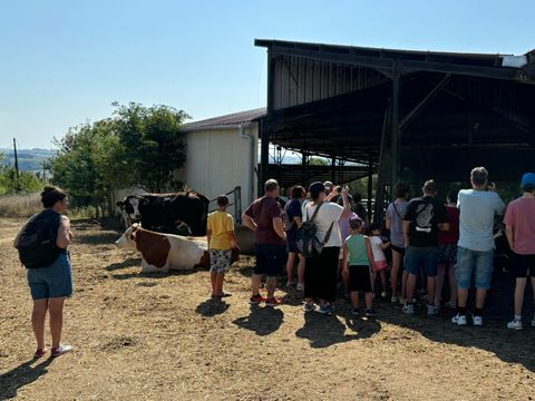 Camping le Bourdieu - Camping Ariège - Image N°32