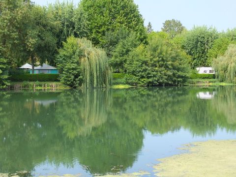 Camping Les portes de l'Anjou - Camping Maine-et-Loire - Image N°13