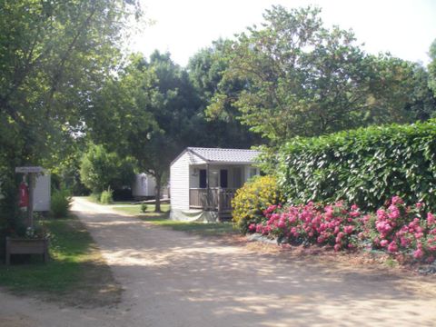 Camping Les portes de l'Anjou - Camping Maine-et-Loire - Image N°11