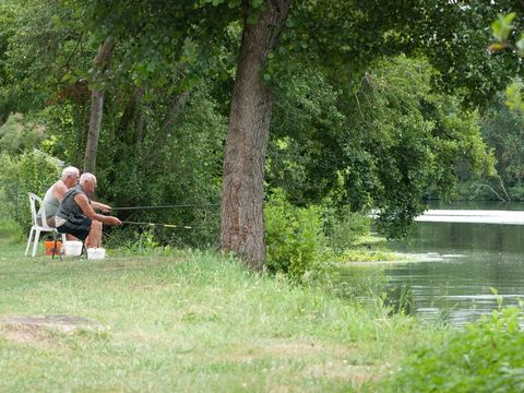 Camping Les portes de l'Anjou - Camping Maine-et-Loire - Image N°5