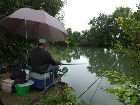 Camping Les portes de l'Anjou - Camping Maine-et-Loire - Image N°24