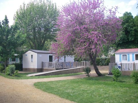 Camping Les portes de l'Anjou - Camping Maine-et-Loire - Image N°4