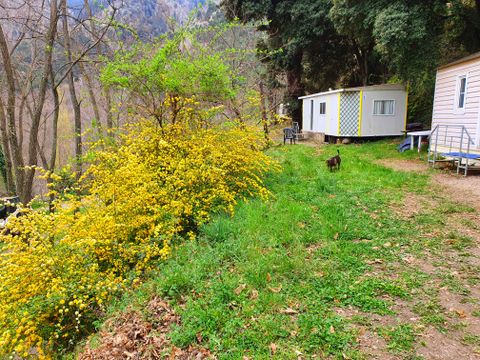 Camping Le P'tit Bonheur - Camping Pyrénées-Orientales - Image N°22