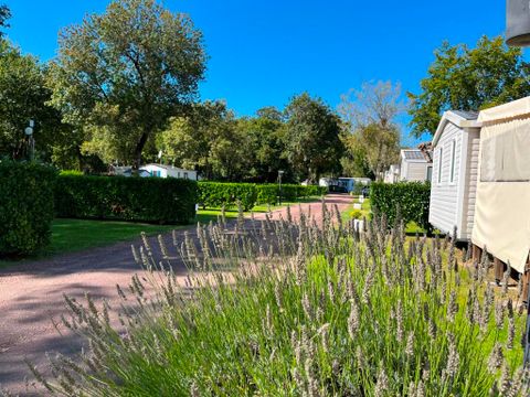 TENTE TOILE ET BOIS 4 personnes - CANADA sans sanitaires