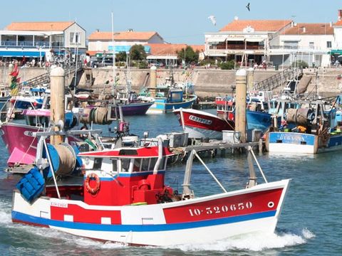 Camping Les Floralies - Camping Charente-Maritime - Image N°23