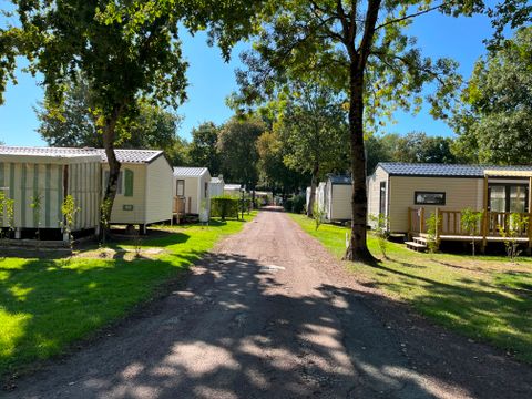 Camping Les Floralies - Camping Charente-Maritime - Image N°34