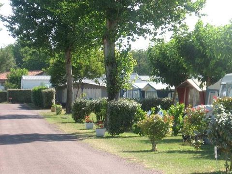Camping Les Floralies - Camping Charente-Maritime - Image N°19