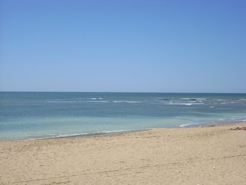 Camping Les Floralies - Camping Charente-Maritime - Image N°27