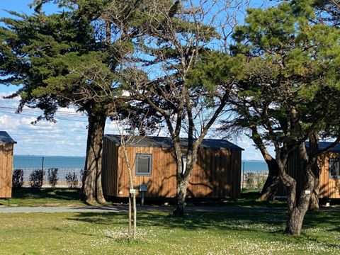 Camping Ostrea - Camping Charente-Maritime - Image N°22