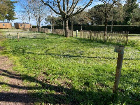Camping Ostrea - Camping Charente-Maritime - Image N°24