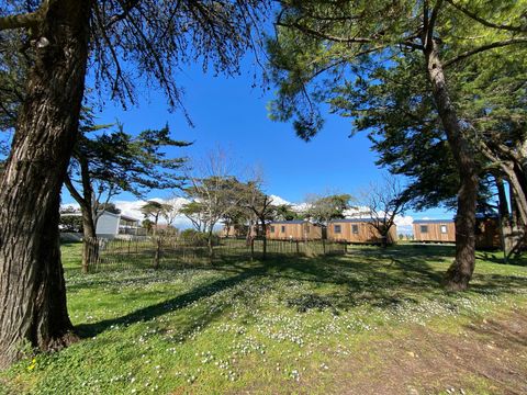 Camping Ostrea - Camping Charente-Maritime - Image N°23