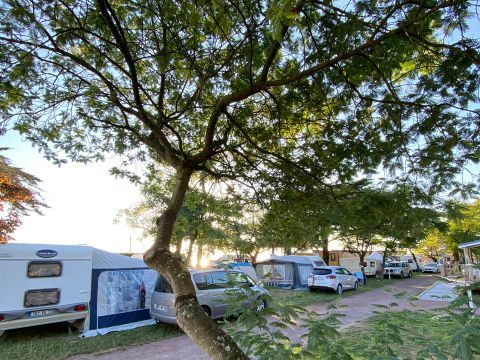Camping Ostrea - Camping Charente-Maritime - Image N°12