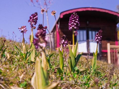 HÉBERGEMENT INSOLITE 5 personnes - Roulotte Gîte 4/5 pers