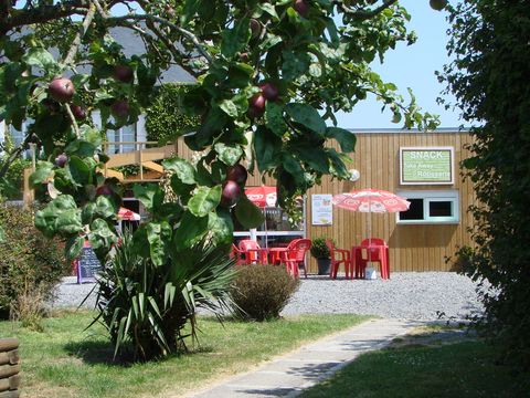 Camping La Reine Mathilde - Camping Calvados - Image N°17