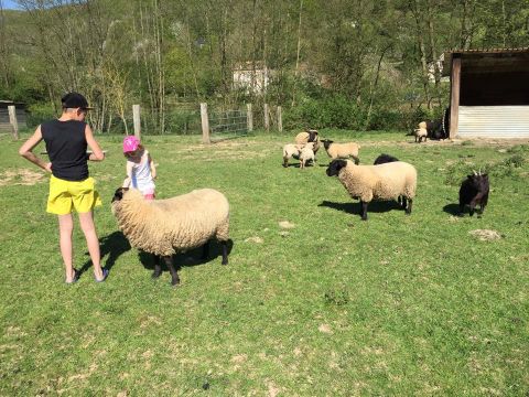 Camping Sites et Paysages - Domaine de la Catinière - Camping Eure - Image N°24