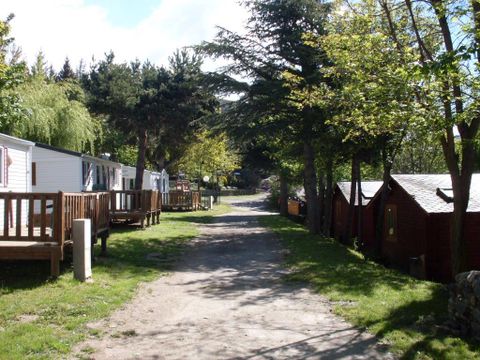 Camping Les Jardins d'Estavar - Camping Pyrénées-Orientales - Image N°4