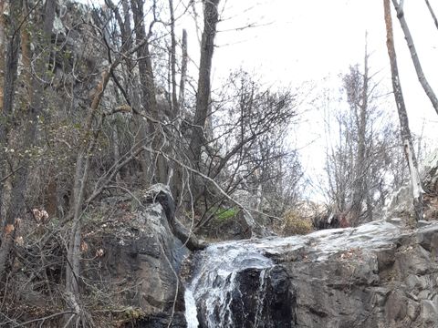 Camping Les Jardins d'Estavar - Camping Pyrénées-Orientales - Image N°49