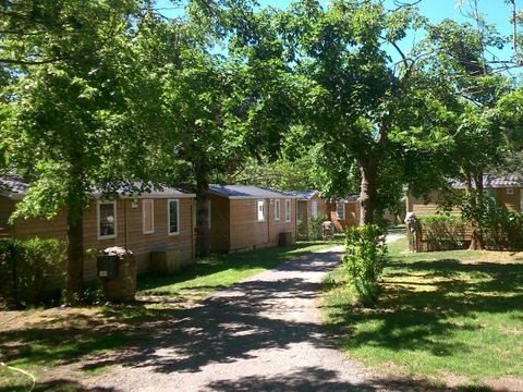 Camping L'Enclave - Camping Pyrénées-Orientales - Image N°3