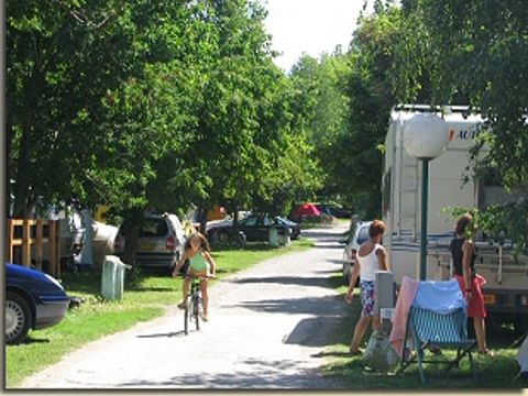 Camping L'Enclave - Camping Pyrénées-Orientales - Image N°15