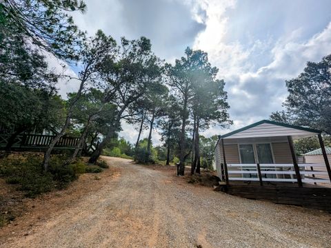 Camping Le Pinada - Camping Aude - Image N°31