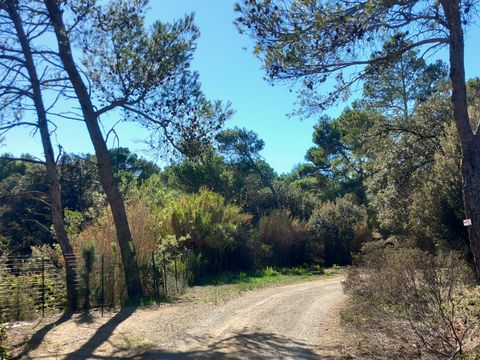 Camping Le Pinada - Camping Aude - Image N°19