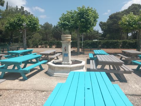 Camping Le Pinada - Camping Aude - Image N°18