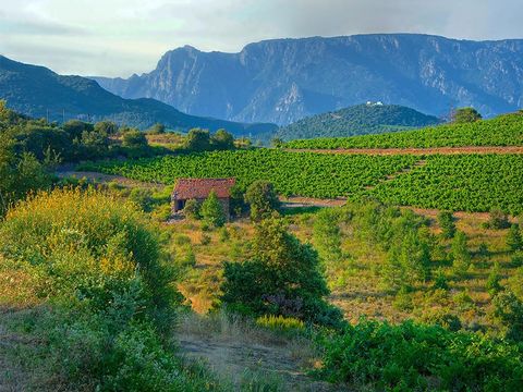 Camping Le Pinada - Camping Aude - Image N°25