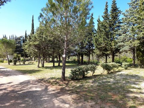 Camping Le Pinada - Camping Aude - Image N°23