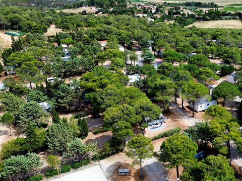 Camping Le Pinada - Camping Aude - Image N°4