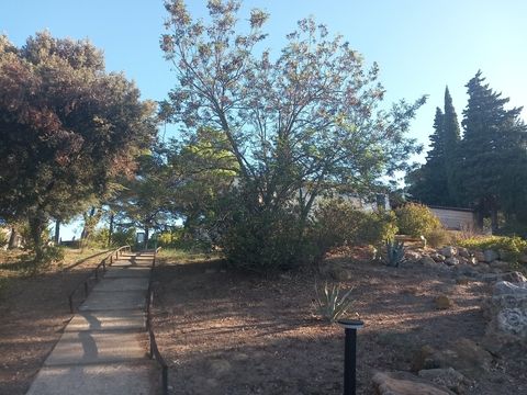 Camping Le Pinada - Camping Aude - Image N°25