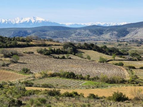 Camping Le Pinada - Camping Aude - Image N°41